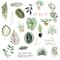 12 Pack: Green Plants Die Cut Stickers by Recollections™